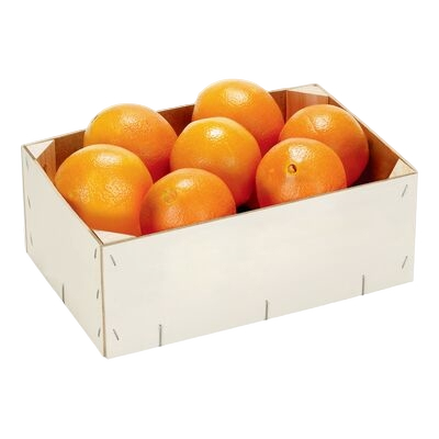 0e8e4558-993c-41d1-8b1f-edfd62a469c7_removalai_preview