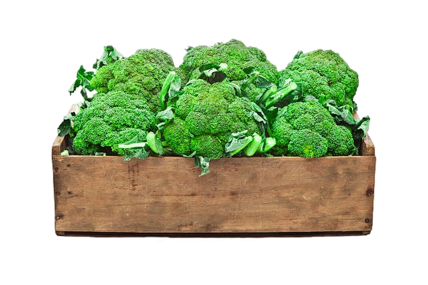 574f0348-9305-4019-9548-f03f9394d8de_removalai_preview