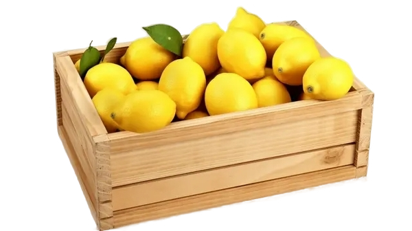 6e9d5aa4-2b2a-4915-bf27-53c92d85a62a_removalai_preview