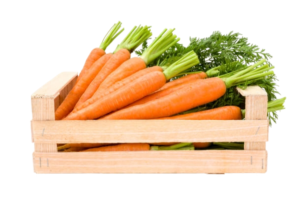 801cce08-5e95-4c76-ba5f-0c7bf93cdb11_removalai_preview