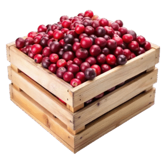 9a788575-ab8f-432b-9792-19c32927fa18_removalai_preview