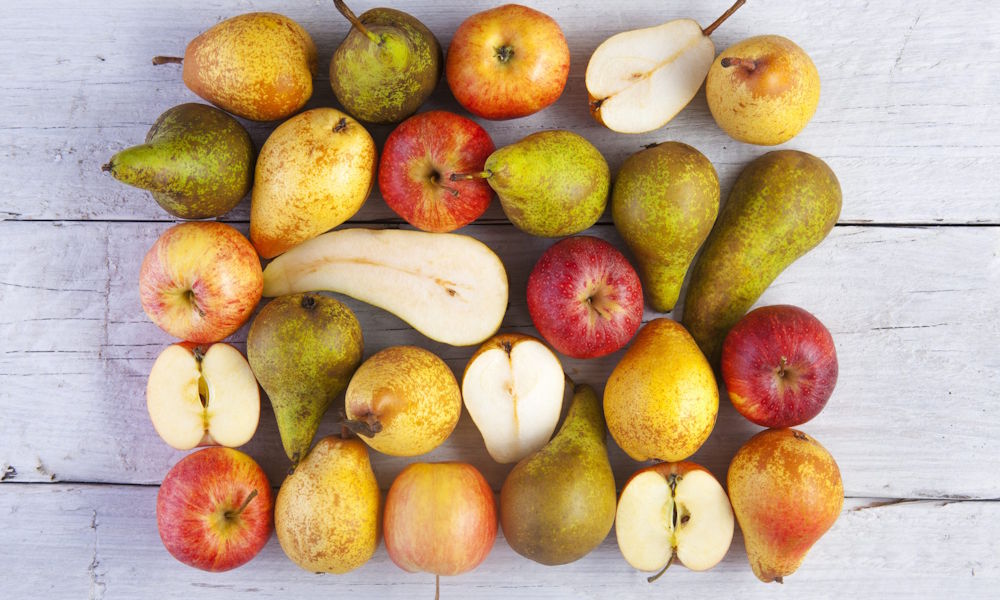 adobestock_94449156-scaled-1