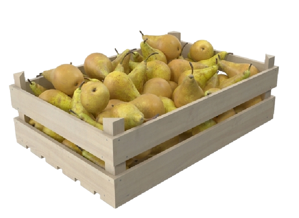 b92449f9-284d-45ce-a7ca-3d071a628b7e_removalai_preview